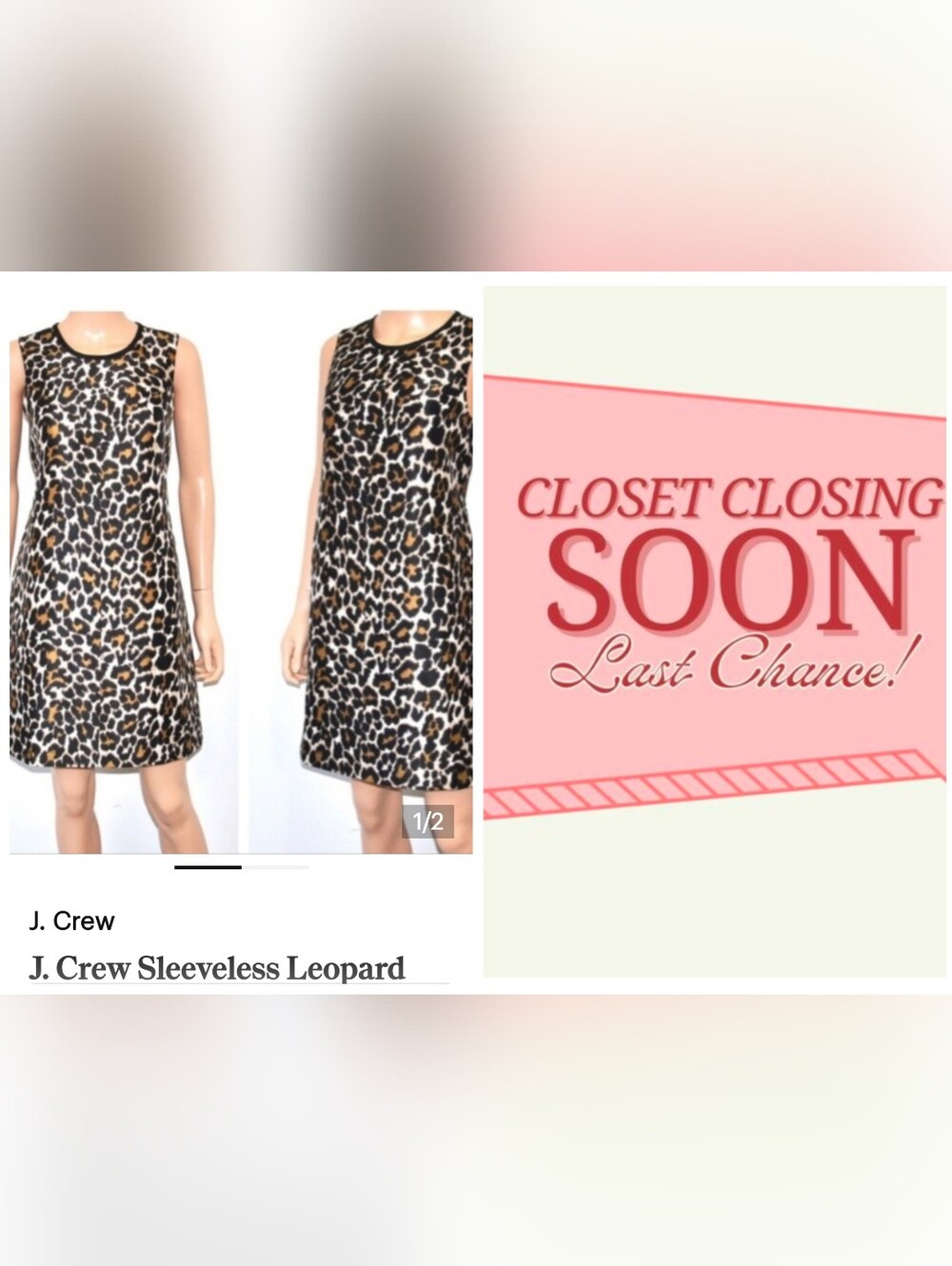 J. Crew Sleeveless Leopard Print Shift Dress - Black & Brown